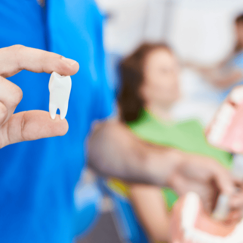 Picture of a tooth